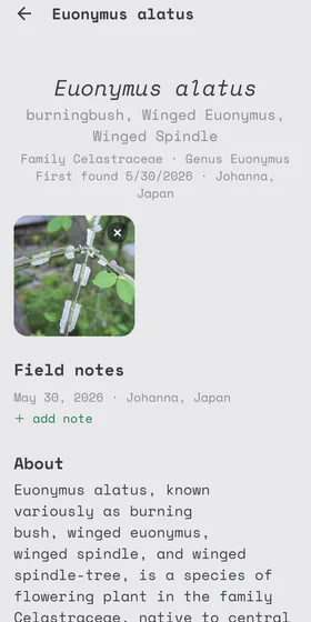 A species page in Herbarium: Euonymus alatus, its common names, first-found date and place, a photo of the find, and a field notes section.